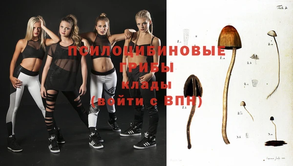 a pvp Алексин