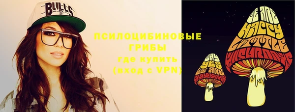 Альфа ПВП Алзамай