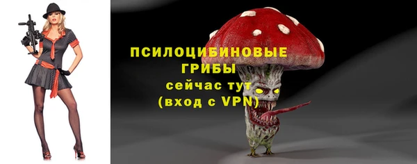 СК Алексеевка