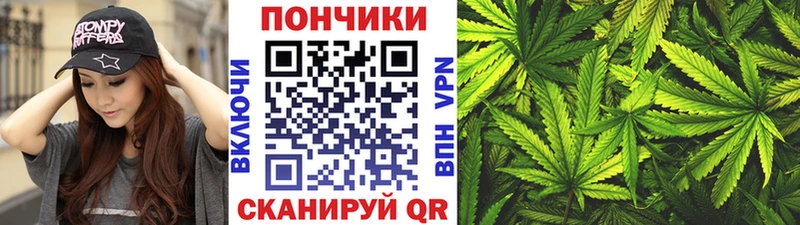 купить закладку  Сясьстрой  Бошки марихуана конопля 